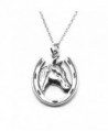 Sterling Silver Lucky Horseshoe Charm Pendant Necklace - Horse in Horseshoe Charm - C7183GEAKU3
