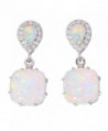 CiNily Rhodium Plated White Blue Fire Opal Zircon Women Jewelry Gemstone Drop Earrings 1" (White) - C417YGW2EYT