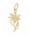 Rembrandt Charms Edelweiss Charm - CB111GJQSLL
