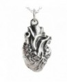 Sterling Silver 3D Anatomical Heart Pendant Necklace- 18" Chain - CF1256VIISF