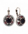 Miraculous Garden Vintage Gold Clip On Earrings for Women Black Red Crystal - Black - CX1836HL9W6