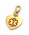Medical Alert Heart Charm 3/4 Inch Gold Stainless - CO11FZN5K95