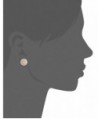 Fossil Heritage Links Glitz Earrings