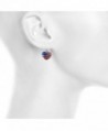 Lux Accessories American Crystal Earrings