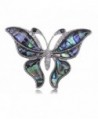 Alilang Silvery Tone Abalone Clear Crystal Colored Butterfly Insect Brooch Pin - CB11OP8DZWP