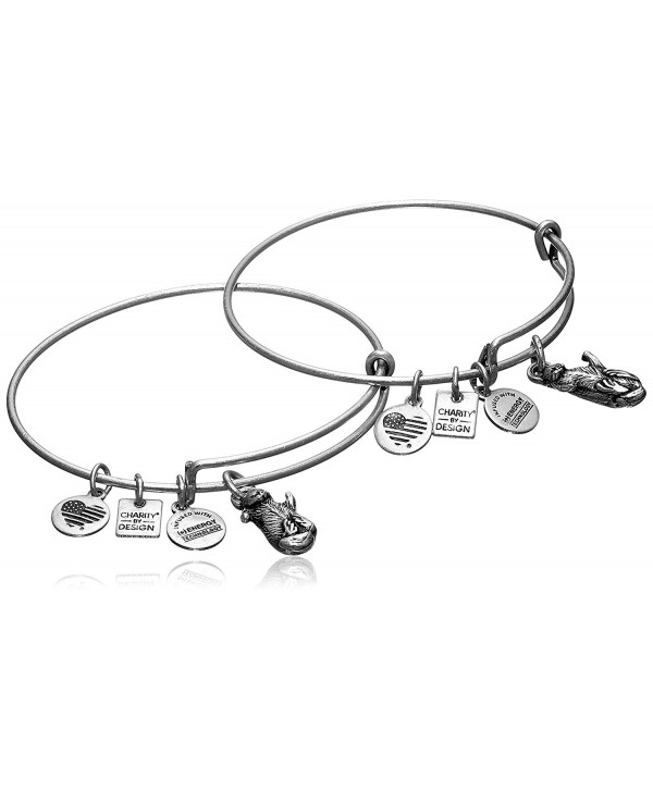 Alex and Ani Womens Charity by Design Side by Side Set of 2 Expandable Wire Bangles - Rafaelian Silver Finish - CD1252CWL0T