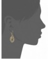 Napier Gold Tone Orbital Drop Earrings