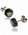 Earth Accessories Stainless Steel Organic Shell Stud Earrings - Abelone - CA12O76TJ3U