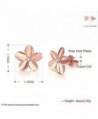 Hawaiian Flower Plumeria Earrings Jewelry