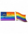 2-Piece Gay Pride American & Waving LGBT Flag Lapel or Hat Pin and Tie Tack Set with Clutch Back by Novel Merk - CL182DQHUY4
