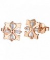 Shally Women's Stianless Steel CZ Cubic Zirconia Roman Numeral Engraved Enamel Stud Earrings Love Earrings - CX182SO4MQX