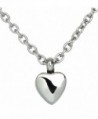 Precious Dwarf Heart Cremation Urn Pendant Necklace & Fill Kit Stainless Steel - Silver Tone - CK12H8LNBND