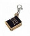 Pro Jewelry Dangling Goldtone "Holy Bible" Clip-on Bead for Charm Bracelet - CS11VVEF1CX
