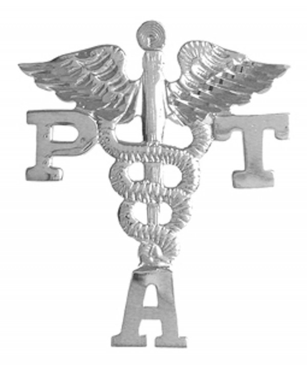 NursingPin - Physical Therapist Assistant PTA Graduation Lapel Pin in Silver - C01173YVBUB
