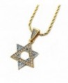 Star of David Mini Pendant Necklace in 18k Gold Finish with 24" 3mm Rope Chain - C412N18BHY5