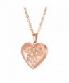 Heart Shaped Photo Locket Pendant Women Fashion Jewelry 18K Gold Plated Necklace - Rose Gold Plated - CA187MLHM9K