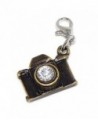Pro Jewelry Dangling Bronze "Camera w/ White Crystal" Clip-on Bead for Charm Bracelet - CQ11VVEICLZ