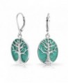 Silver Synthetic Turquoise Leverback Earrings in Women's Drop & Dangle Earrings