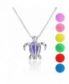 Silver Turtle Essential Diffuser Necklace