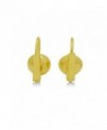 Swarovski Crystal Leverback Earrings Dangling in Women's Drop & Dangle Earrings