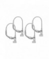 Convertiblez Earring Converters Lever Silver