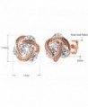 Earring Jewelry Crystal Zirconia Pierced