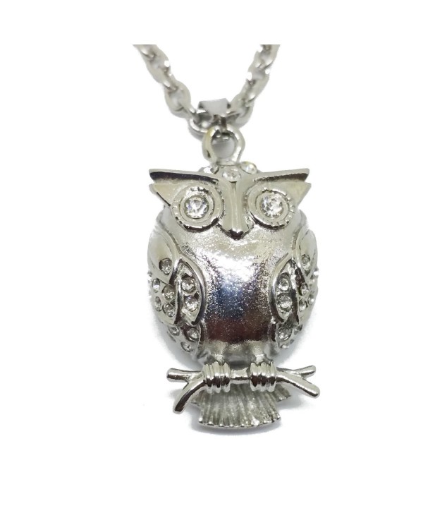 Owl with Clear CZ stone Cremation Urn Jewelry- Stainless Pendant Necklace for Loved Keepsake - CR12FLI0DZJ