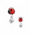 CharmsStory Love You Be Mine Spring Red Rose Flower Charms Dangle Beads For Bracelets - CO11VW90GZJ