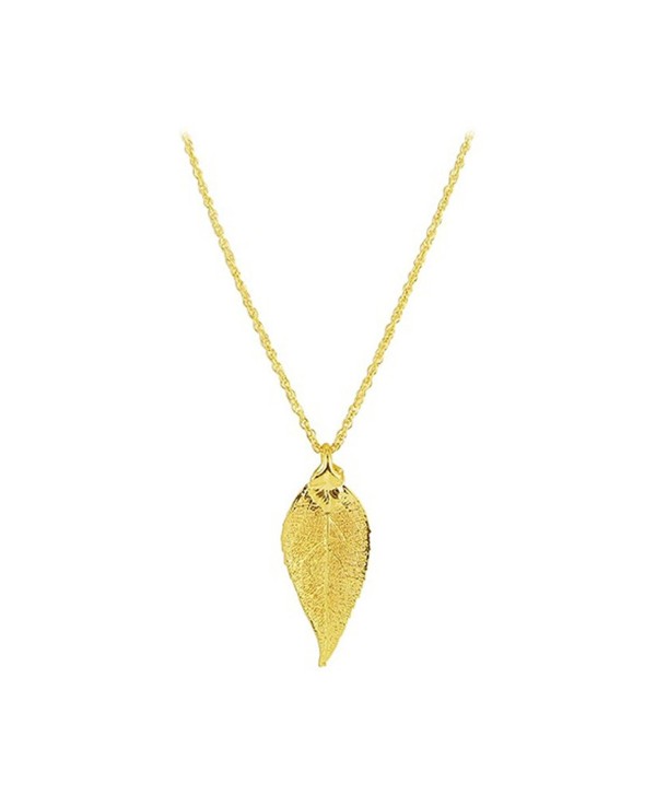Gem Avenue 24k Gold Plated Real Evergreen Leaf Pendant with 1mm Rolo Chain Necklace - C0115OY5OFZ