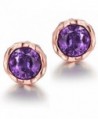 Rose Gold Stud Earrings for Women Big Crystal Stud Earrings Round 8.5 mm - purple - CJ186YRUH4C