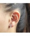 Sterling Silver VERTICAL Earring Small