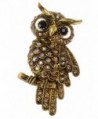 Alilang Antique Gold Tone Light Topaz Colored Rhinestones Owl Bird Brooch Pin - CA114V6Y6W9