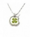 Stainless Steel Real Irish Four Leaf Clover Apple Good Luck Teacher Pendant Necklace- 16-18 inches - CI11O1WVLN5