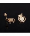 LOHOME Titanium Champagne Zircon Earrings in Women's Stud Earrings