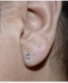 Sterling Silver Hollow Heart Earrings