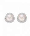 EVER FAITH 925 Sterling Silver CZ 9MM AAA Freshwater Cultured Pearl Elegant Rose Flower Stud Earrings - C512DPFO72F