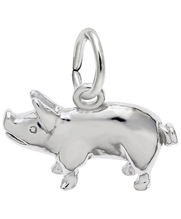 Pig Charm- Charms for Bracelets and Necklaces - CN115J7KKI3