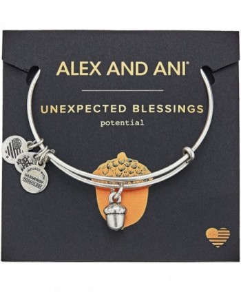 Alex Ani Unexpected Blessings Rafaelian